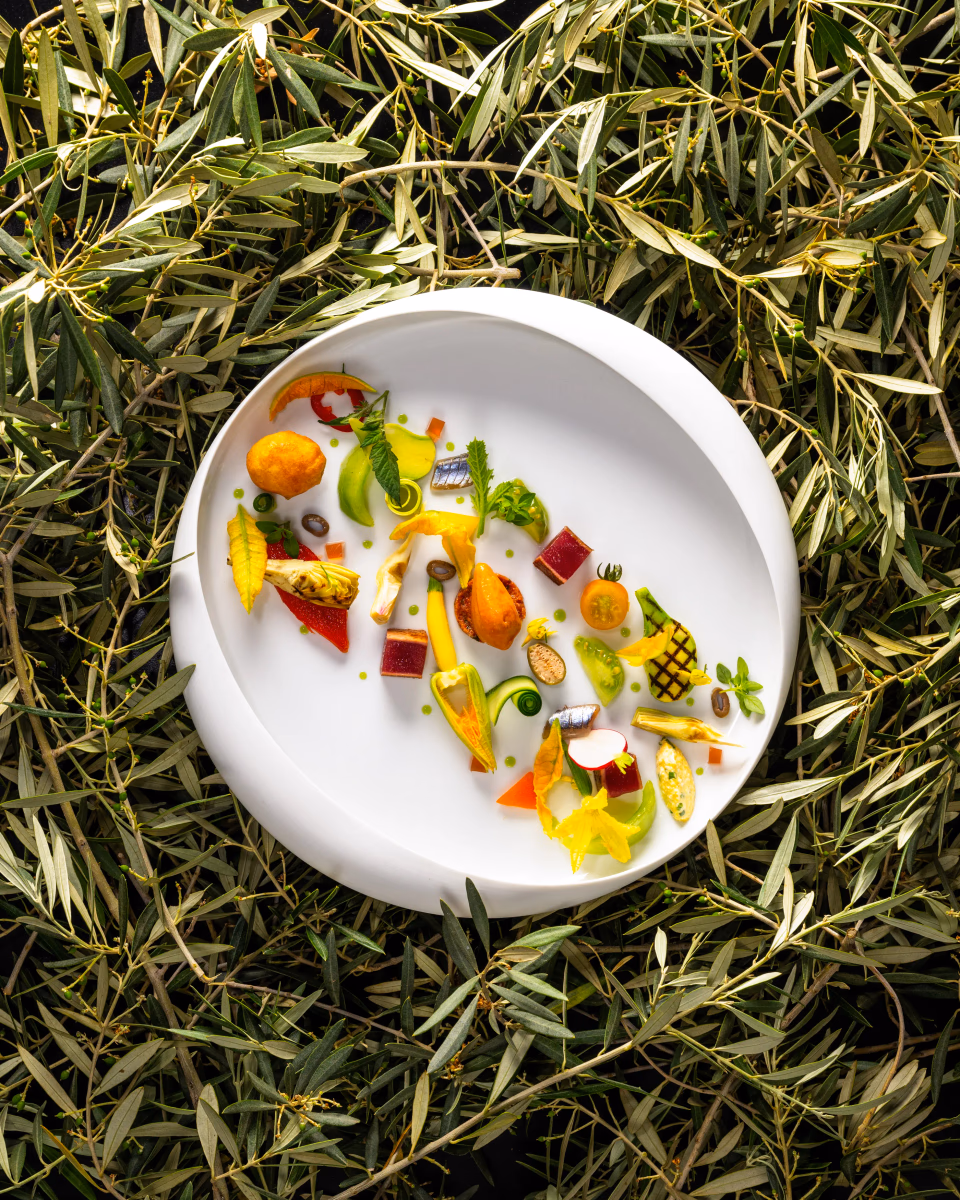 A dish composed of various finely chopped vegetables and fruits artistically arranged on a white plate placed on grass.