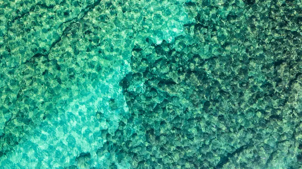 Vue sous-marine de rochers et de sable avec des reflets de lumière dans une eau turquoise